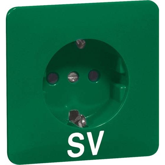 Peha - Schalter-/Steckdosenkombination Steckdose D 80.6611 SI GRÜN SV