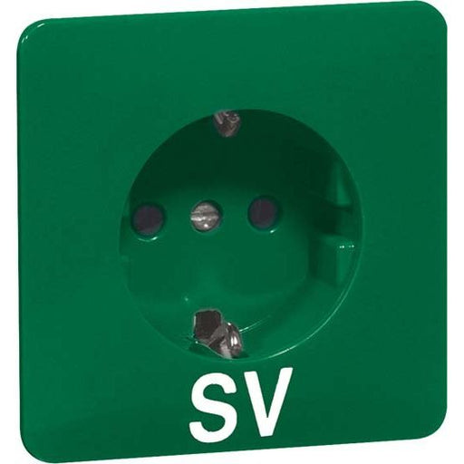 Peha - Schalter-/Steckdosenkombination Steckdose D 80.6611 SI GRÜN SV