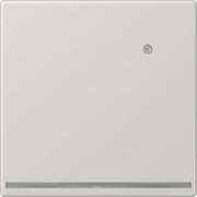 Jung - Orientierungsleuchte LED-Orientierungslicht LS 1539-O LG LNW weiße LEDs bruchs