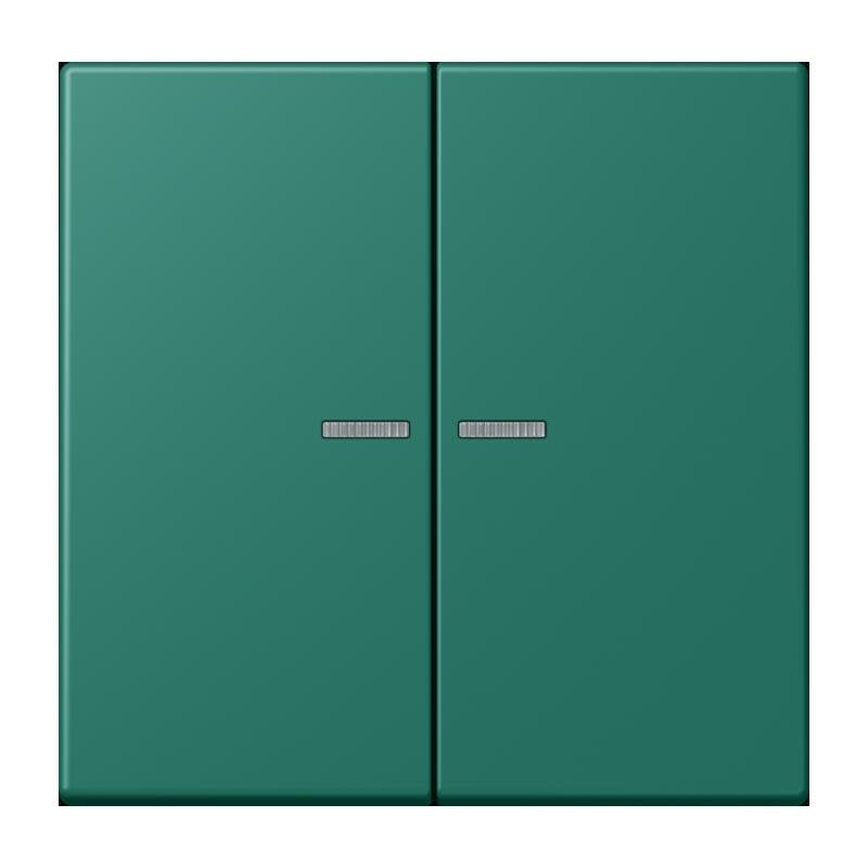 Jung - Abdeckung/Bedienelement für Installationsschalterprogramme Wippe mit Lichtleiter LC 102 KO5 216 vert anglais