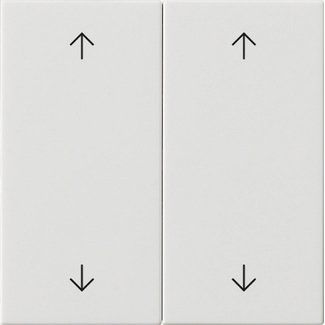 Gira - Abdeckung/Bedienelement für Installationsschalterprogramme Wippe 2-fach 538703 Reinweiß