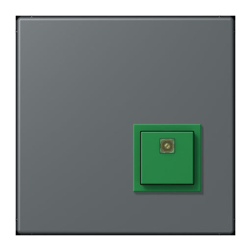 Jung - Behindertenelement für Installationsschalterprogramme Notrufsystem Abstelltaster NRS LC 0834 AT 202 gris fonce 31