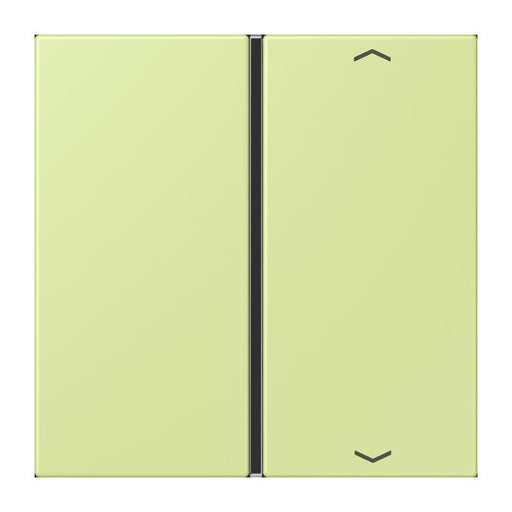 Jung - Abdeckung/Bedienelement für Installationsschalterprogramme Taste 1fach m. Pfeilsymb. LC 401 TSAP 222 vert jaune clair