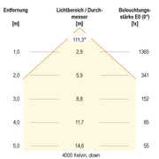 EVN Lichttechnik - Decken-/Wandleuchte LED-Anbauleuchte BALM12500125 3000/4000/5700K ws