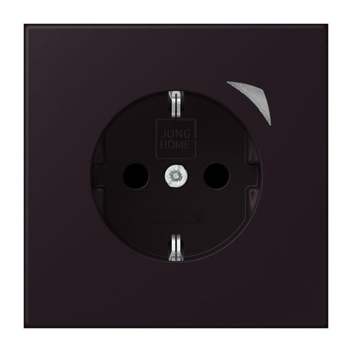 Jung - Steckdose SCHUKO Steckdose BT LC 1521 SE 248 noir divoire (4320E)