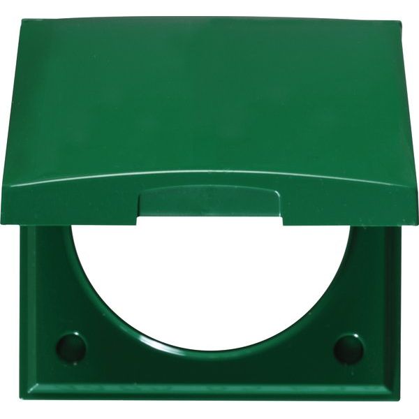 Berker - Abdeckrahmen Rahmen 1f m Klappdeckel 918282570 ITG Flow grün