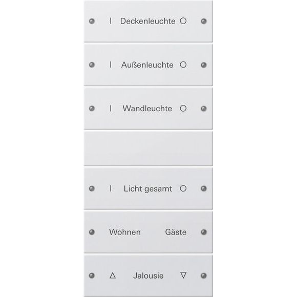 Gira - Bussystem-Tastwippe Wippenset 6-fach 220627 beschr. Sys 55 rws