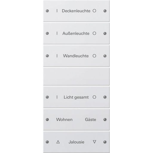 Gira - Bussystem-Tastwippe Wippenset 6-fach 220627 beschr. Sys 55 rws