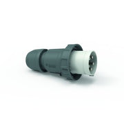 Bals Elektrotech - CEE-Stecker (IEC 60309) Stecker 21966 5p >50V grau 1h