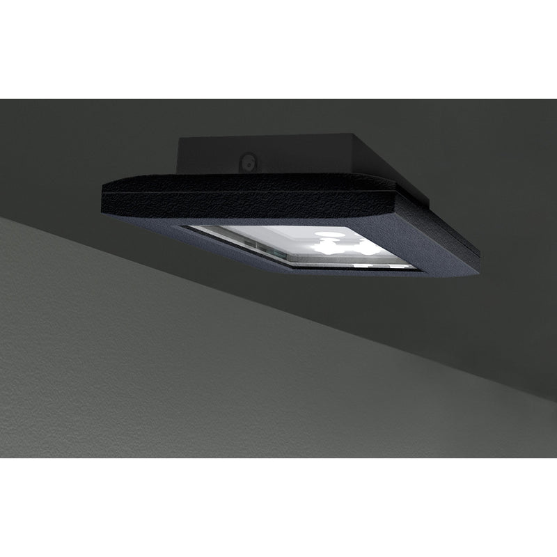 RP-Technik - Sicherheitsleuchte FMDS428SC-AZ EB 8h