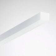 Trilux - Lichttechnisches Zubehör/Ersatzteile für Leuchten Ersatzwanne 372231 für 3451N/36