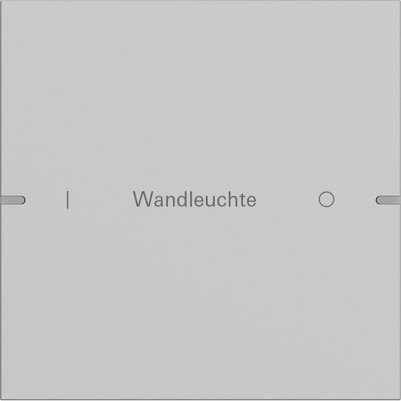 Gira - Bussystem-Tastwippe Wippenset 1-fach 5031915 Tastsens TS4 Grau