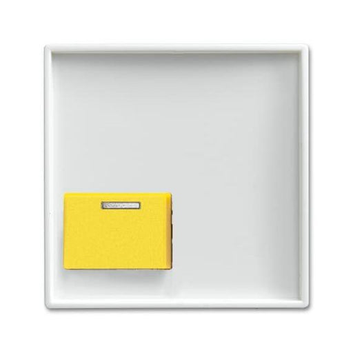 Busch-Jaeger - Zentralelement Klinikinstallation Zentralscheibe alpinws 2548-642 D-914 Licht-Ton-Rufsysteme − 1 Stück by Busc
