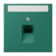 Jung - Einsatz/Abdeckung für Kommunikationstechnik Abdeckung für IAE/UAE LC 969-1 NAUA 216 vert anglais (32040)