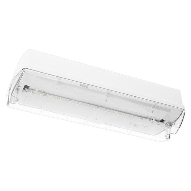 Fischer - Sicherheitsleuchte LED-Sicherheitsleuchte HAU810M+EBH EB 8h