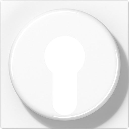 Jung - Abdeckung/Bedienelement für Installationsschalterprogramme Abdeckung aws A 528 PL WW für Schlüsselschalt