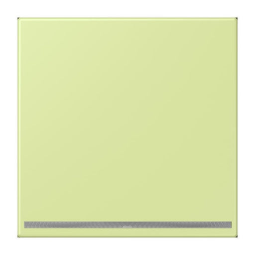 Jung - Orientierungsleuchte LED-Orientierungslicht LC 1539-OO LNW 222