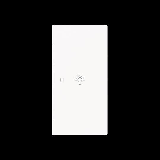 Busch-Jaeger - Bussystem-Tastwippe Wippe 2-fach rechts m.Sym. 6231-22-44M Licht