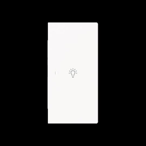 Busch-Jaeger - Bussystem-Tastwippe Wippe 2-fach rechts m.Sym. 6231-22-44M Licht