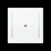 Busch-Jaeger - Bussystem-Tastwippe Abdeckung als Taster LFS/A.1.70.11-44g 1f. Symbol Szene