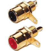 E+P Elektrik - Kommunikationstechnik-Adapter Cinch-Einbaubuchse CB 2 G LOSE G