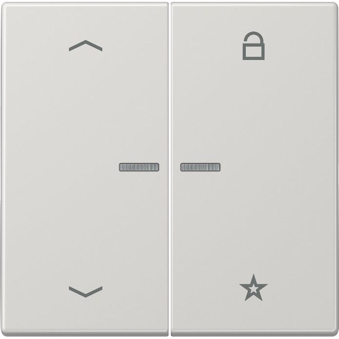 Jung - Bedienelement intelligent eNet Funk-Steuertaste FM LS 1701 P LG Symbol Pfeil,lichtgr