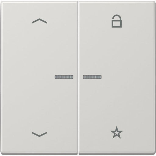 Jung - Bedienelement intelligent eNet Funk-Steuertaste FM LS 1701 P LG Symbol Pfeil,lichtgr