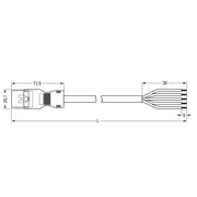 WAGO - Konfektionierte Leitung für steckbare Gebäudeinstallation konfekt. Anschlussleitung 891-8995/206-103 Eca,Stecker