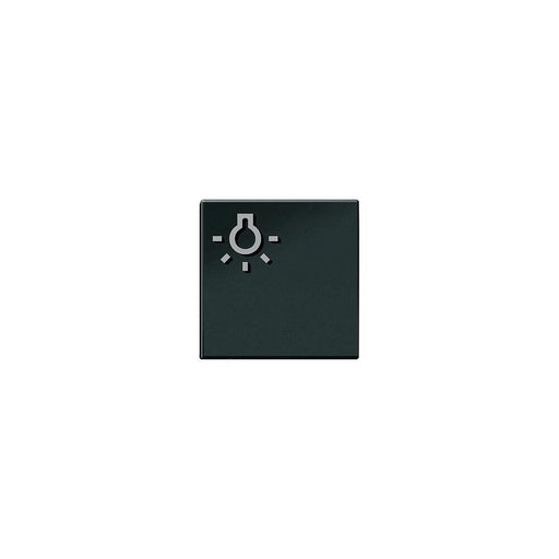 Siedle&Söhne - Zubehör/Ersatzteile für Türkommunikation Licht-Taste sw-hgl 200029978-00 mit Lichtsymbol
