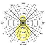 Brumberg Leuchten - Pendelleuchte LED-Pendel-Ringleuchte 13547164 D1800mm, H100mm