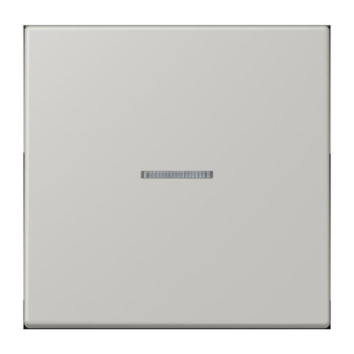 Jung - Abdeckung/Bedienelement für Installationsschalterprogramme Wippe mit Lichtleiter LC 101 KO5 205 gris clair 31