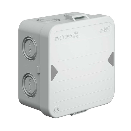 Kaiser - Dose, Gehäuse für Montage auf der Wand/Decke Kabelabzweigkasten AT2502 IP65, AK1, M20/M25 − 100 Stück