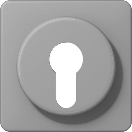 Jung - Abdeckung/Bedienelement für Installationsschalterprogramme Abdeckung gr CD 528 GR für Schlüsselschalt