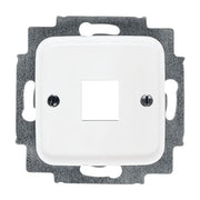 Busch-Jaeger - Einsatz/Abdeckung für Kommunikationstechnik Zentralscheibe aws 2561-214 für 1 Modular Jack