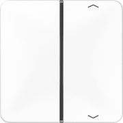 Jung - Abdeckung/Bedienelement für Installationsschalterprogramme Taste 1-fach aws CD 401 TSAP WW Symbol Auf/Ab