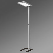 Regiolux - Stehleuchte LED-Stehleuchte visula- #43711308175 4000K DALI