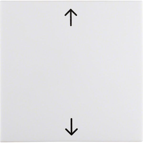 Berker - Abdeckung/Bedienelement für Installationsschalterprogramme Wippe pws/gl 16208919