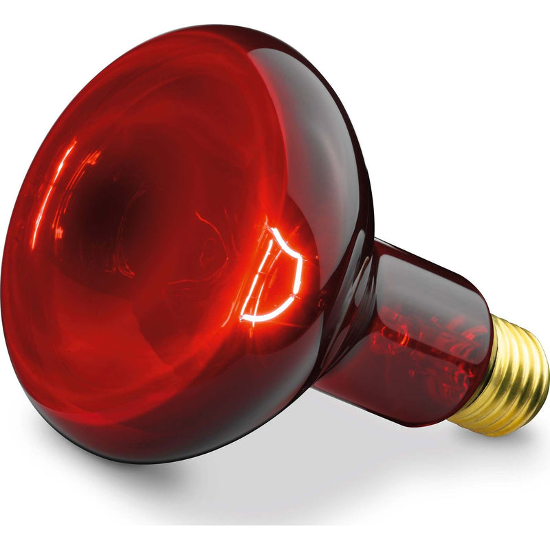 Beurer - Zubehör/Ersatzteile für Kleingeräte Zubehör f.Infrarotlampe SIL06/IL11 Ers. Ersatzstrahler