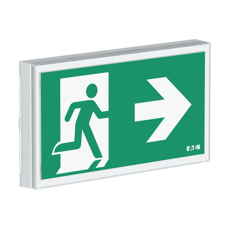 Ceag Notlichtsysteme - Sicherheitsleuchte LED-Rettungszeichenleuchte FT3EW4ICGL18IP 1-8h, Piktos, Wand