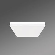 Regiolux - Decken-/Wandleuchte LED Wand-u. Anbauleuchte turas- #21908016680 4000K DALI