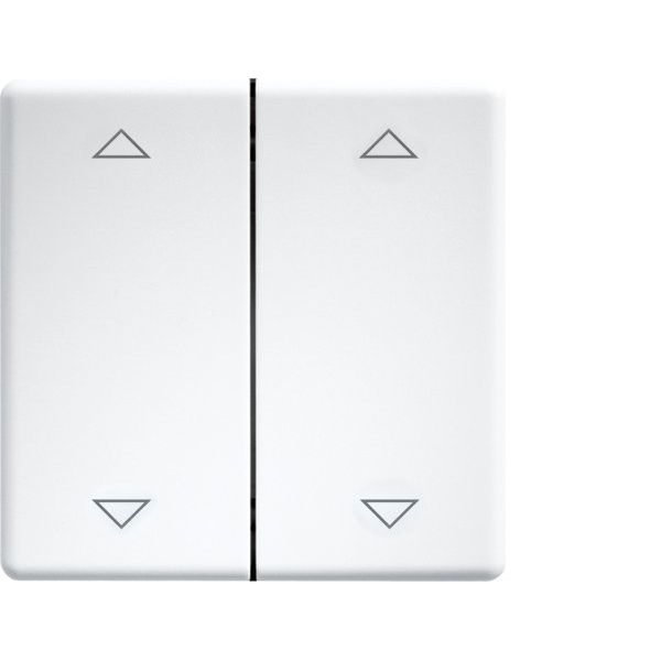 Eltako - Abdeckung/Bedienelement für Installationsschalterprogramme Doppelwippe lasergraviert DW-FT55-wg+2P f.55x55mm rws/glänz