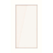 TCS Tür Control - Zusatzgerät für Türkommunikation PES PRO Namensfeldmodul E38169 180x90mm