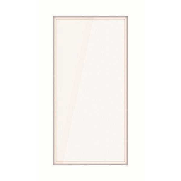 TCS Tür Control - Zusatzgerät für Türkommunikation PES PRO Namensfeldmodul E38169 180x90mm