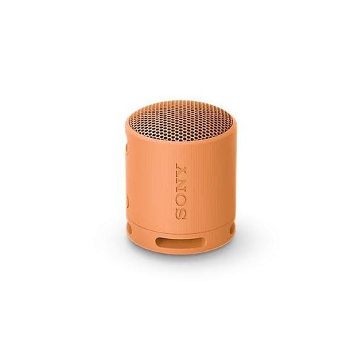 Sony - Lautsprecher Bluetooth-Lautsprecher SRSXB100D.CE7 portable, or