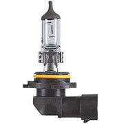 Scharnberger+Hasenbein - Fahrzeuglampe Autolampe Halogen HB4 17166 P20d 12V 51W
