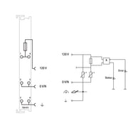 WAGO - Feldbus, Dez. Peripherie - Einspeise- und Segmentmodul Potentialeinspeisung 750-615 AC12V Sicherungshalt