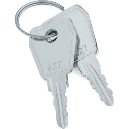 WindowMaster - Schlüssel für Gehäuse/Schränke Ersatzschlüssel WSA 441 0101 für WSC 204 − 1 Stück by WindowMaster
