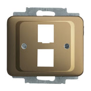 Busch-Jaeger - Einsatz/Abdeckung für Kommunikationstechnik Zentralscheibe brz 2561-02-21 für 2 Modular Jack