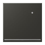 Jung - Orientierungsleuchte LED-Orientierungslicht LC 1539-O LNW 259