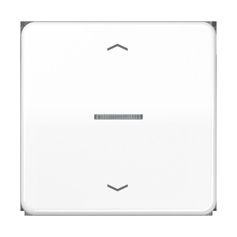 Jung - Bedienelement intelligent Taster 1fach BT CD 17101 P WW JUNG HOME
